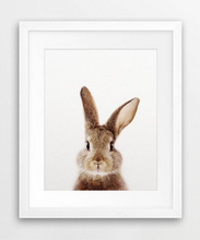 Cargar imagen en el visor de la galería, Colección Bunny Butt
