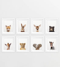 Cargar imagen en el visor de la galería, Colección Animalitos